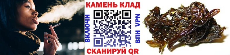 ГАШИШ Изолятор  Моршанск 