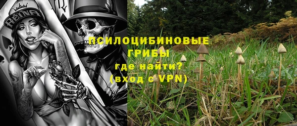 крисы Армянск
