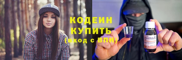 гашик Арсеньев