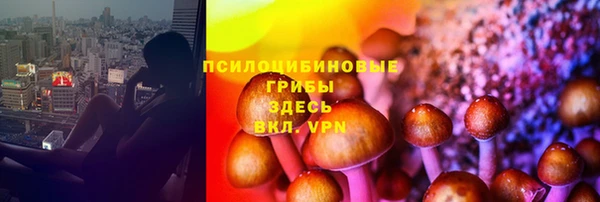 гашик Арсеньев