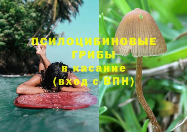 крисы Армянск