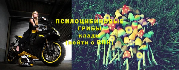 крисы Армянск