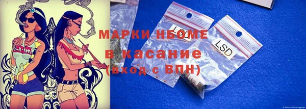 крисы Армянск