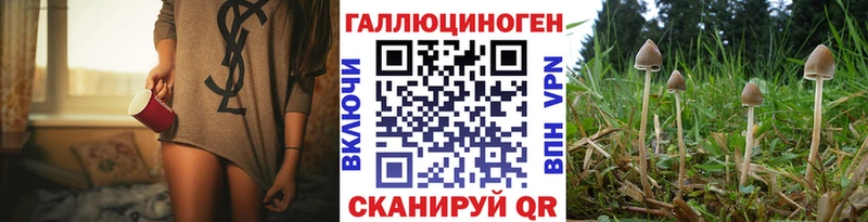 Псилоцибиновые грибы MAGIC MUSHROOMS  купить наркоту  hydra онион  Моршанск 